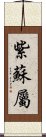 紫蘇屬 Scroll