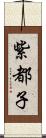 紫都子 Scroll