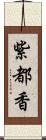 紫都香 Scroll