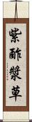 紫酢漿草 Scroll