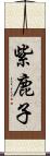 紫鹿子 Scroll