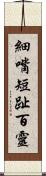 細嘴短趾百靈 Scroll