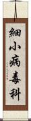 細小病毒科 Scroll