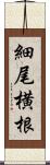 細尾横根 Scroll