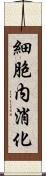 細胞内消化 Scroll