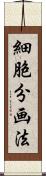 細胞分画法 Scroll