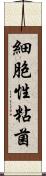 細胞性粘菌 Scroll