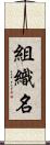 組織名 Scroll