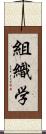 組織学 Scroll