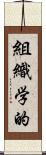 組織学的 Scroll