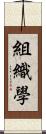 組織學 Scroll