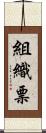 組織票 Scroll