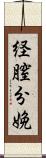 経膣分娩 Scroll