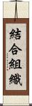 結合組織 Scroll