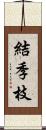 結季枝 Scroll