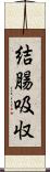 結腸吸収 Scroll