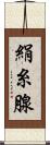 絹糸腺 Scroll