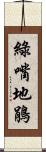 綠嘴地鵑 Scroll