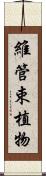 維管束植物 Scroll