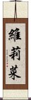 維莉菜 Scroll