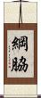 綱脇 Scroll