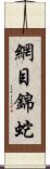 網目錦蛇 Scroll