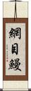 網目鰻 Scroll