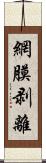 網膜剥離 Scroll