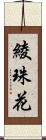 綾珠花 Scroll