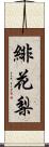 緋花梨 Scroll
