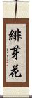 緋芽花 Scroll