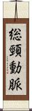 総頸動脈 Scroll