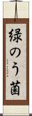 緑のう菌 Scroll