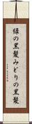 緑の黒髪 Scroll