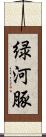 緑河豚 Scroll