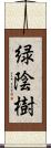 緑陰樹 Scroll