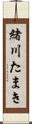 緒川たまき Scroll
