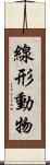 線形動物 Scroll
