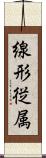 線形従属 Scroll