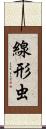 線形虫 Scroll
