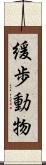 緩歩動物 Scroll