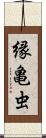 縁亀虫 Scroll