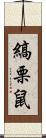 縞栗鼠 Scroll