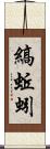 縞蚯蚓 Scroll