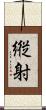 縦射 Scroll