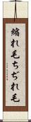 縮れ毛 Scroll