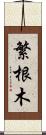 繁根木 Scroll