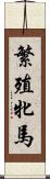 繁殖牝馬 Scroll