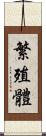 繁殖體 Scroll