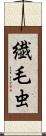 繊毛虫 Scroll